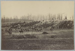 A Union artillery battery with its horses. (Courtesy of the Library of Congress)