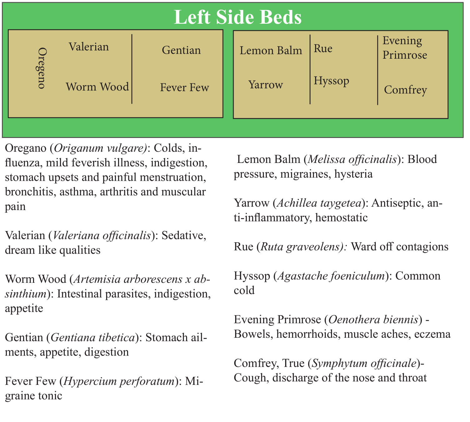 A layout of medicinal herbs in the "left" (while looking from the house) beds of the Pry Garden and their uses.