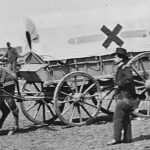 Figure 13: Detail from “Ambulance of the 6th Corps,” Matthew Brady. Courtesy of the National Archives and Records Administration