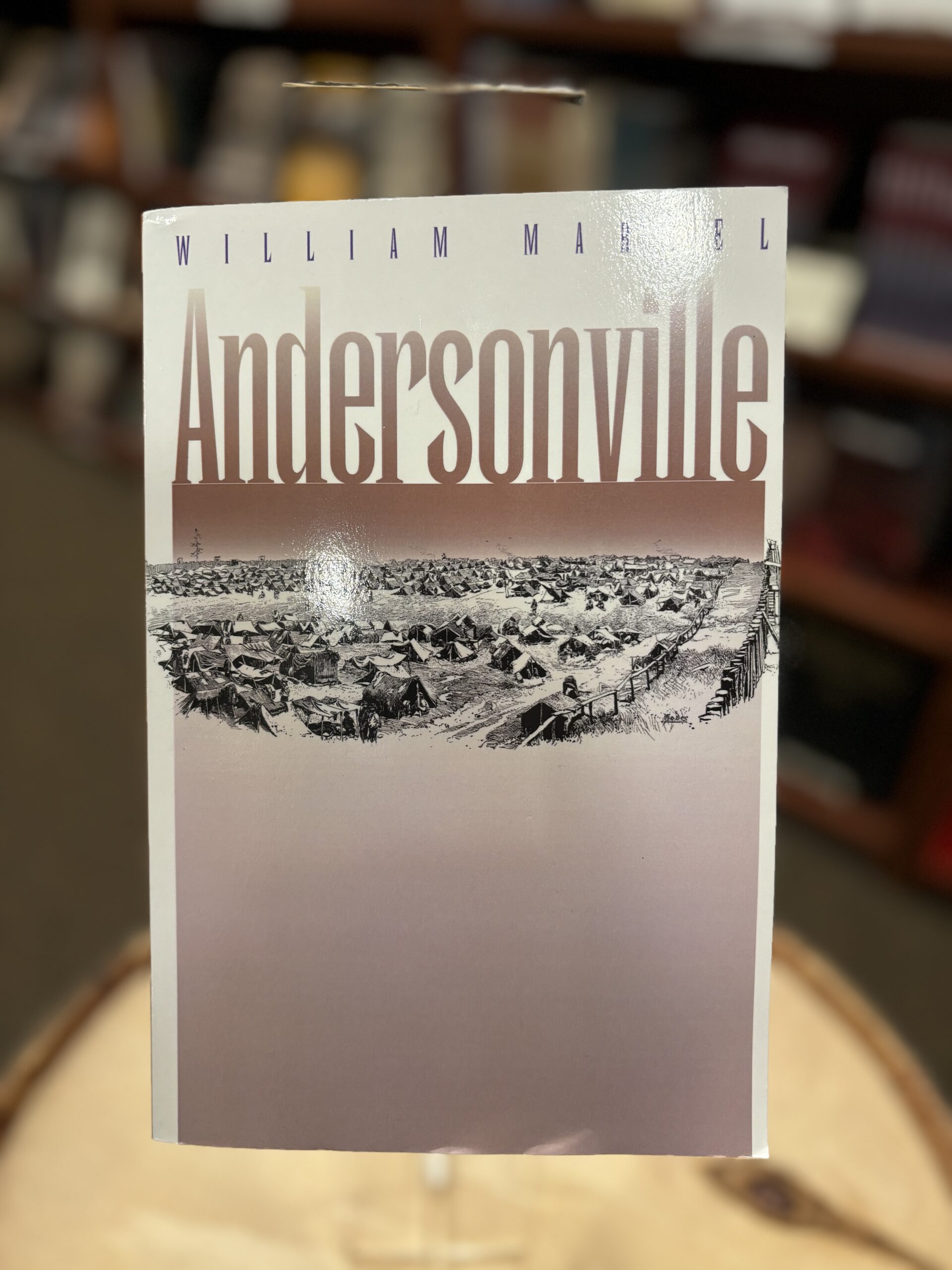 Andersonville: The Last Depot